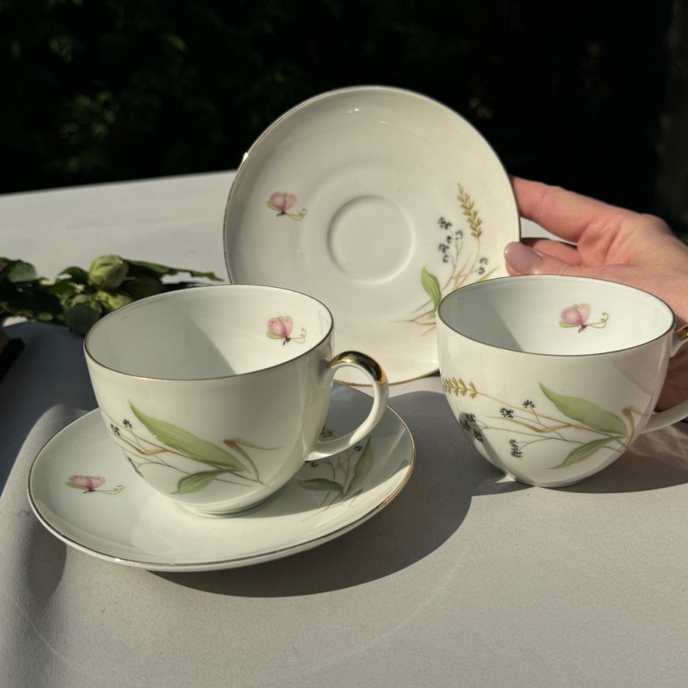 Чайная пара Arzberg Луговые травы 220 мл Германия