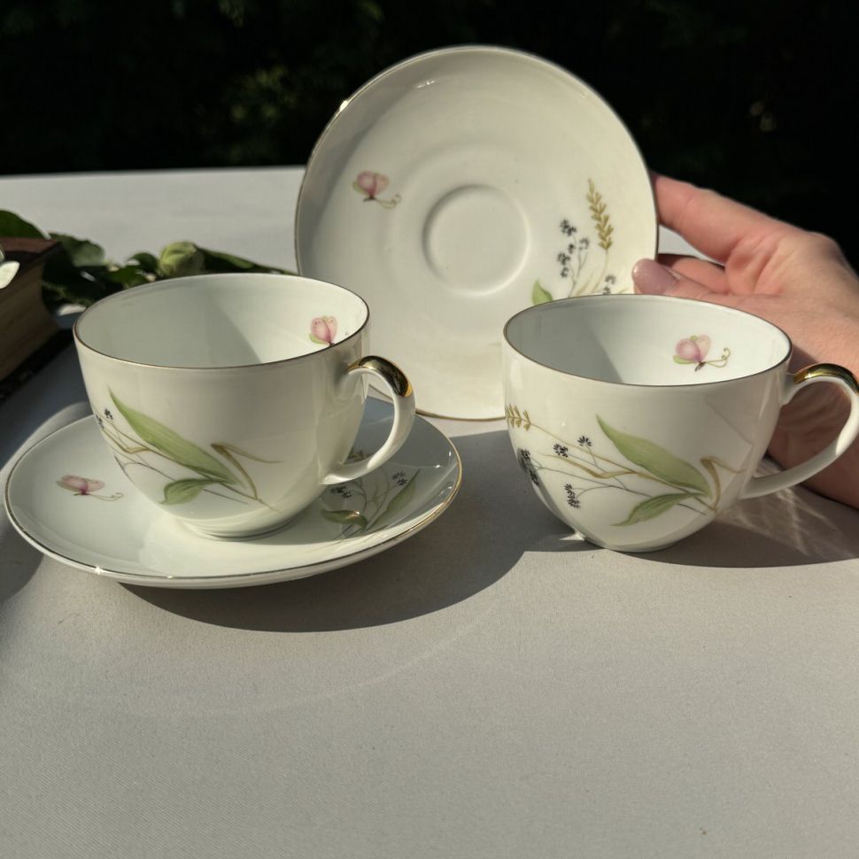 Чайная пара Arzberg Луговые травы 220 мл Германия