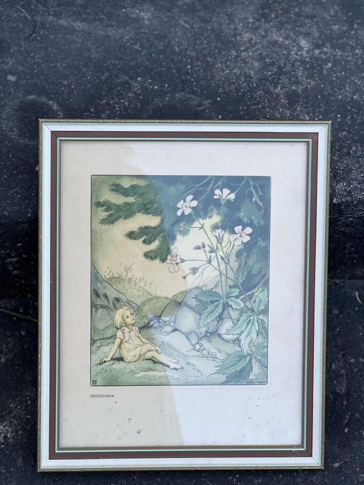 Картина репродукция Skognava 27х33 см в раме под стеклом