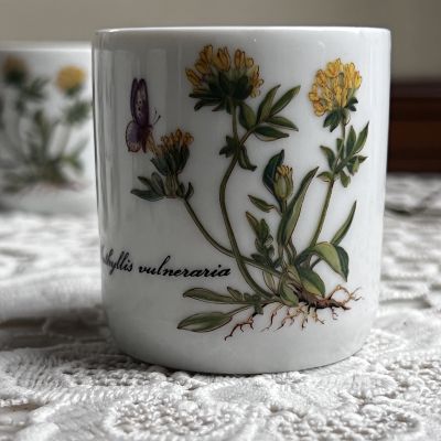 Стакан амюз-буш Kronester Ботаника 100 мл Бавария 