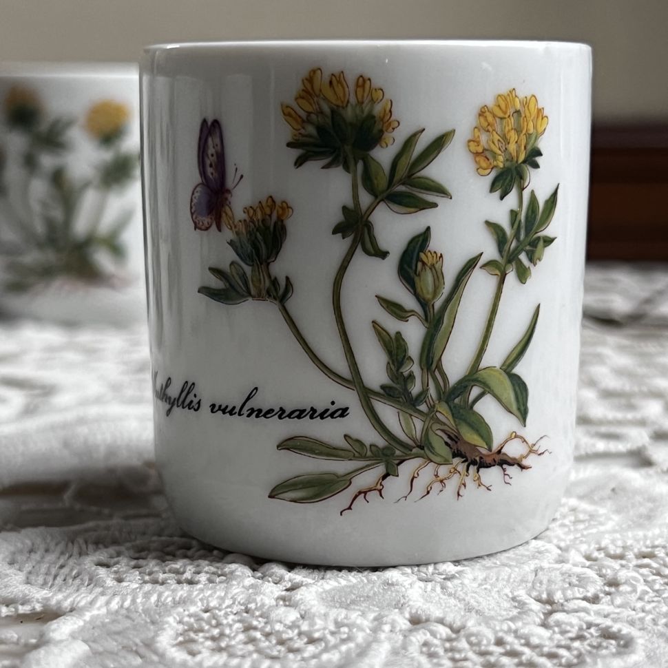 Стакан амюз-буш Kronester Ботаника 100 мл Бавария 