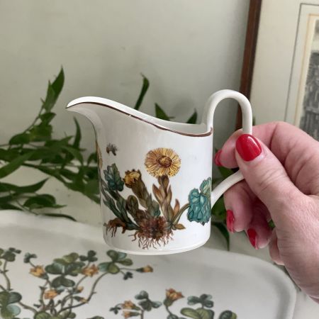 Молочник Botanica 120 мл ВиллеройБох