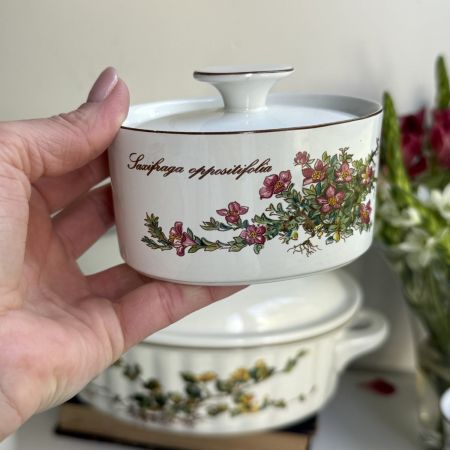 Шкатулка овал Botanica ВиллеройБох 11см