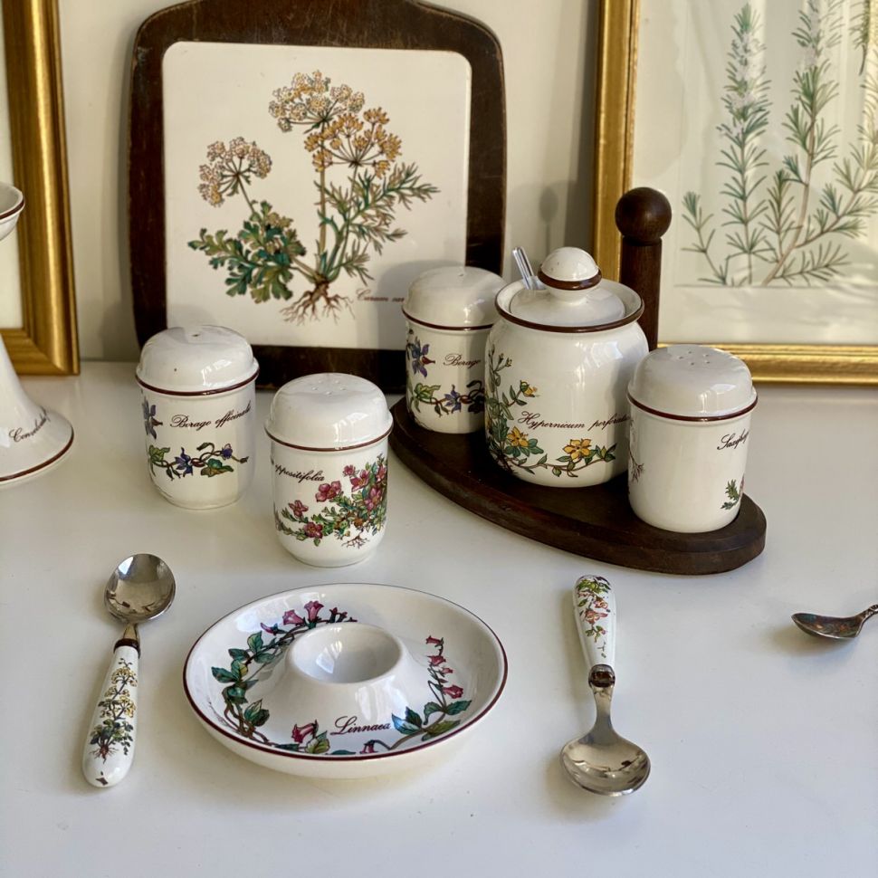 Солонка Botanica Laxifraga oppositifolia ВиллеройБох