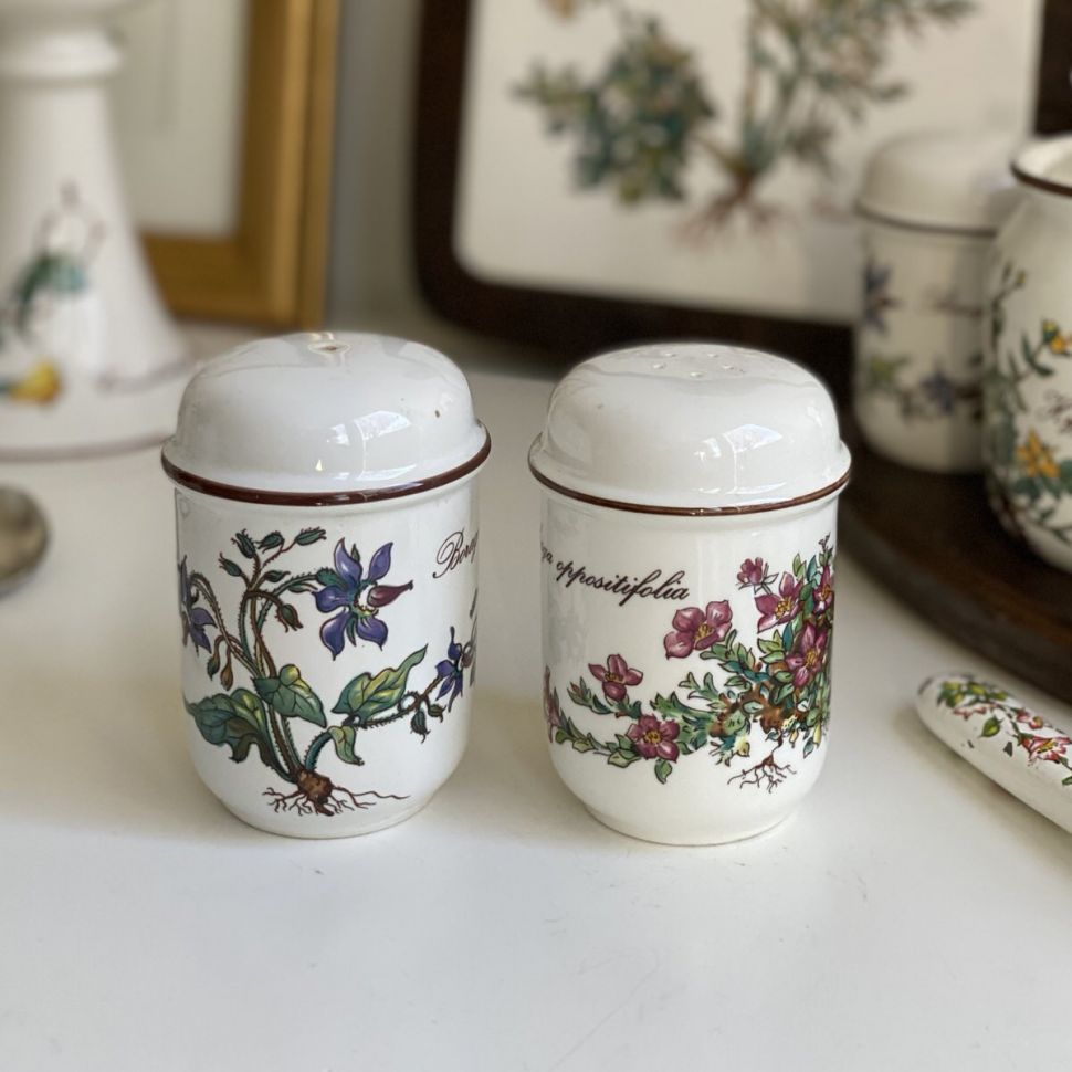 Солонка Botanica Laxifraga oppositifolia ВиллеройБох