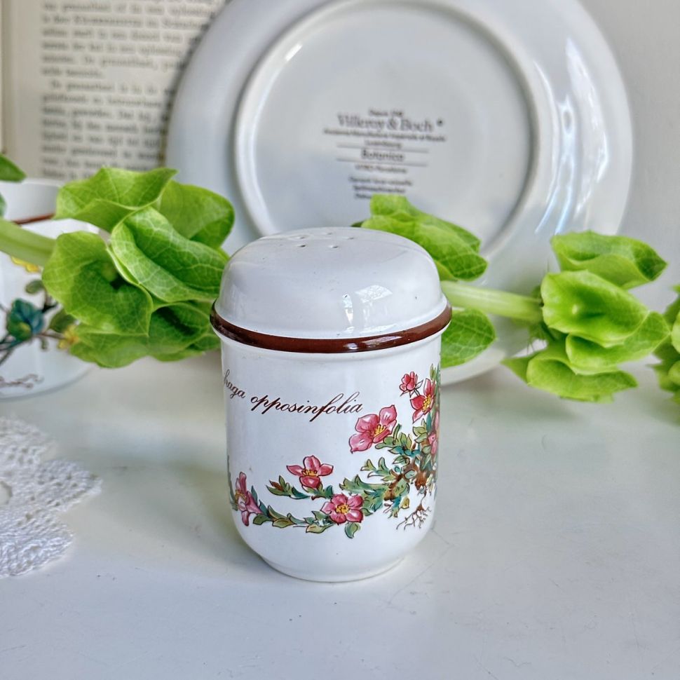 Солонка Botanica Laxifraga oppositifolia ВиллеройБох