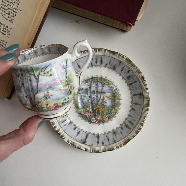 Кофейная пара Royal Albert Silver Birch 130 мл Англия