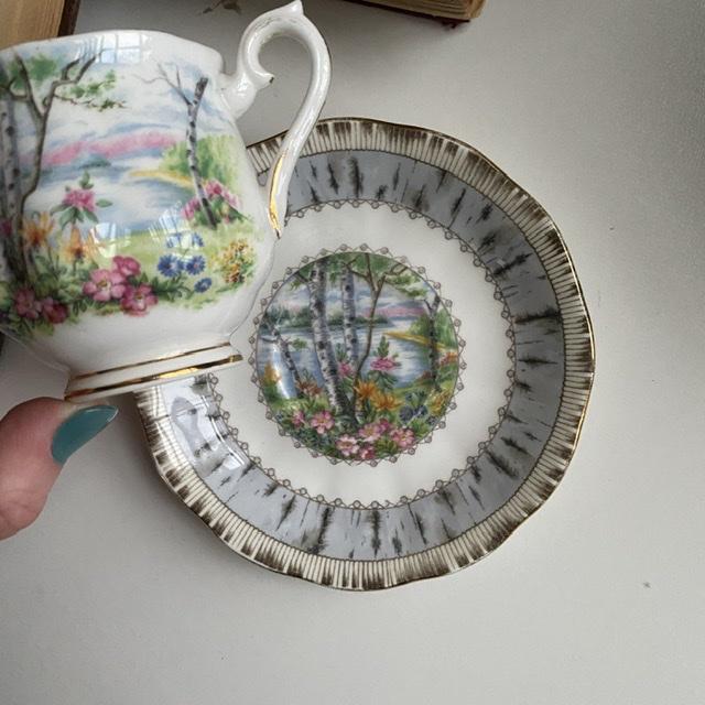 Кофейная пара Royal Albert Silver Birch 130 мл Англия