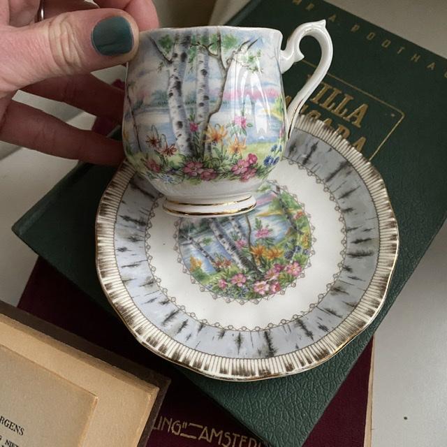 Кофейная пара Royal Albert Silver Birch 130 мл Англия