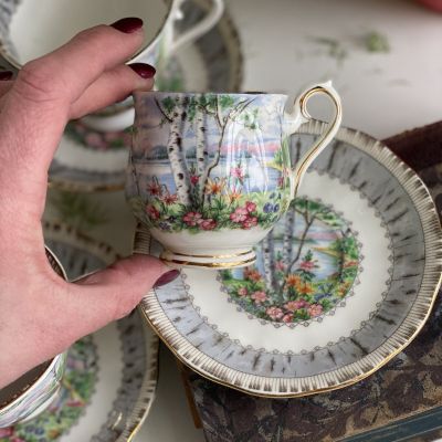 Кофейная пара Royal Albert Silver Birch 130 мл Англия