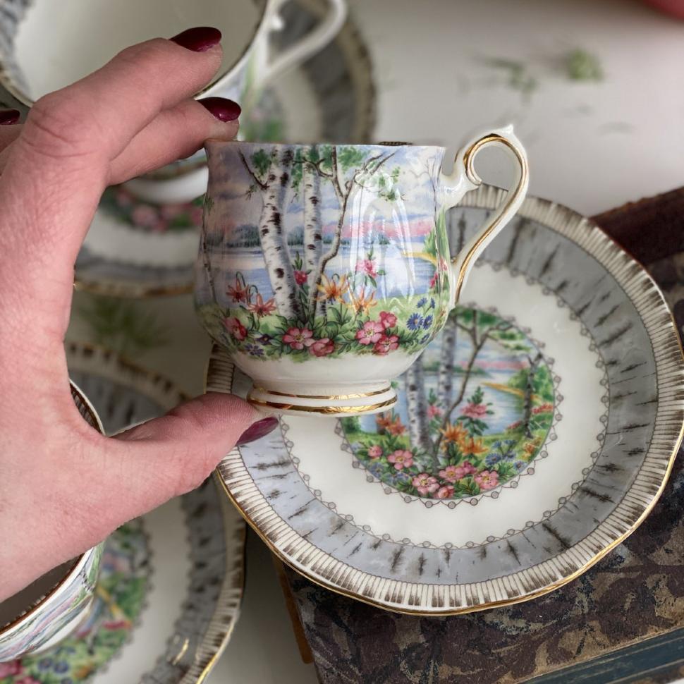 Кофейная пара Royal Albert Silver Birch 130 мл Англия