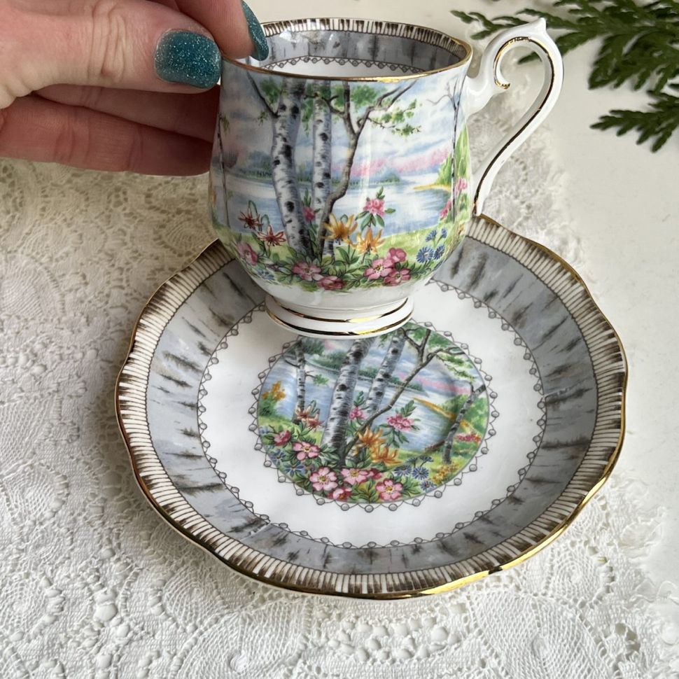 Кофейная пара Royal Albert Silver Birch 130 мл Англия