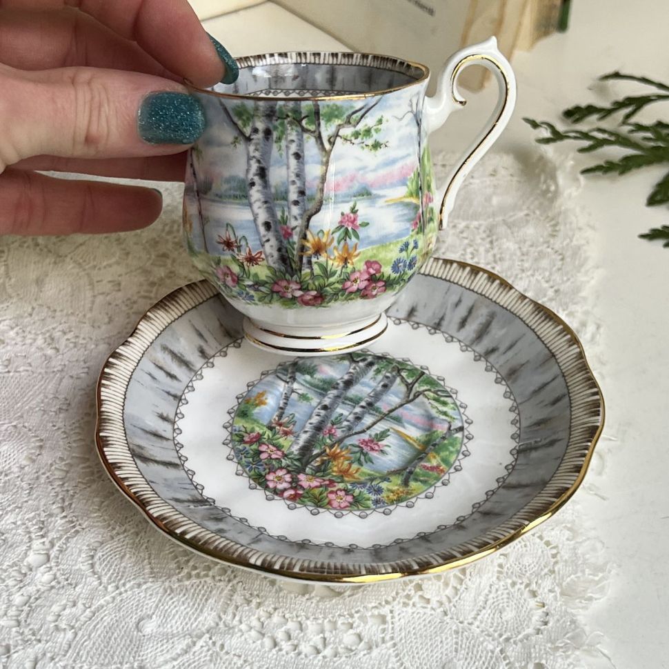 Кофейная пара Royal Albert Silver Birch 130 мл Англия