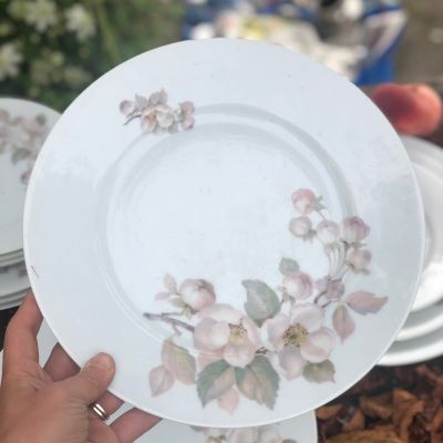 Тарелка 22 см Яблоня Бавария