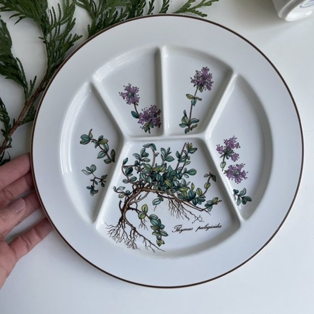 Тарелка Thymus pulegioides Botanica ВиллеройБох 24 см 