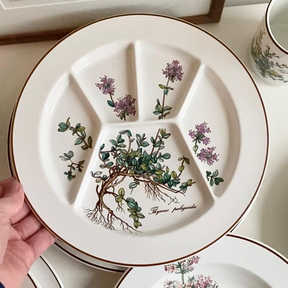 Тарелка Thymus pulegioides Botanica ВиллеройБох 24 см 