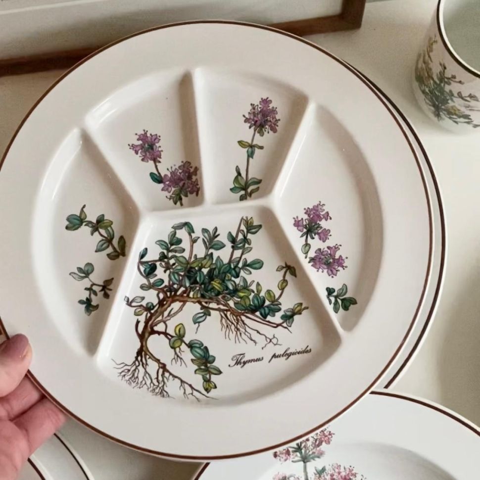 Тарелка Thymus pulegioides Botanica ВиллеройБох 24 см 