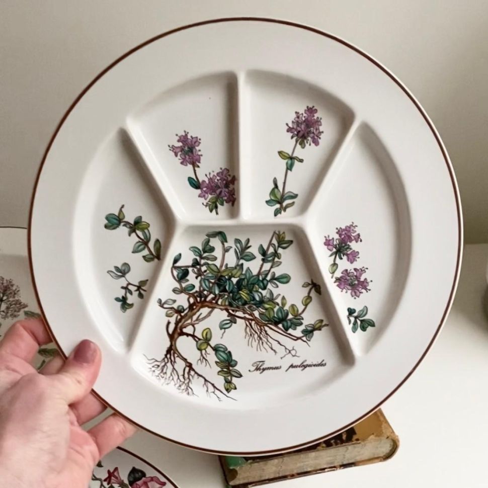 Тарелка Thymus pulegioides Botanica ВиллеройБох 24 см 