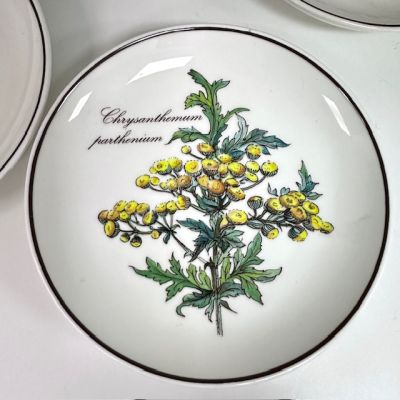 Тарелка блюдце Botanica ВиллеройБох 12 см