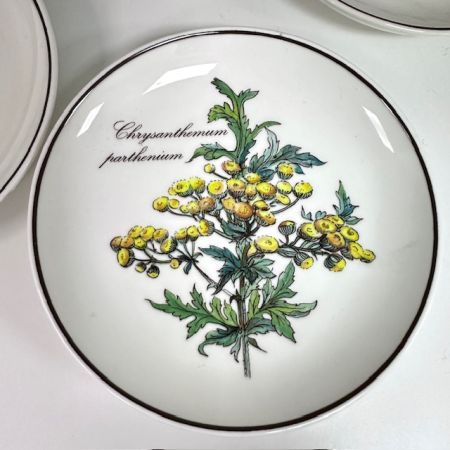 Тарелка блюдце Botanica ВиллеройБох 12 см