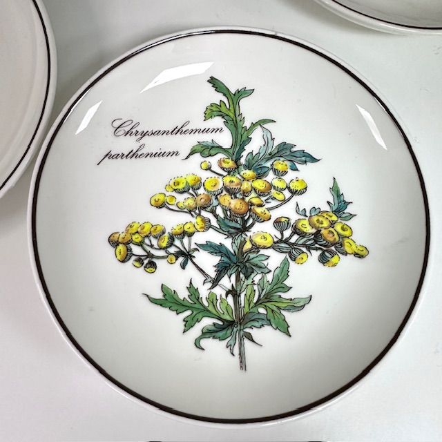 Тарелка блюдце Botanica ВиллеройБох 12 см