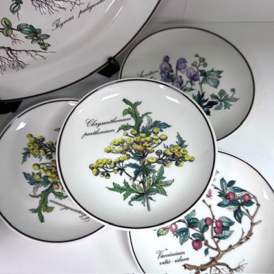 Тарелка блюдце Botanica ВиллеройБох 12 см