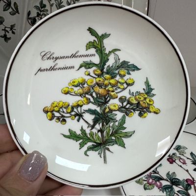 Тарелка блюдце Botanica ВиллеройБох 12 см
