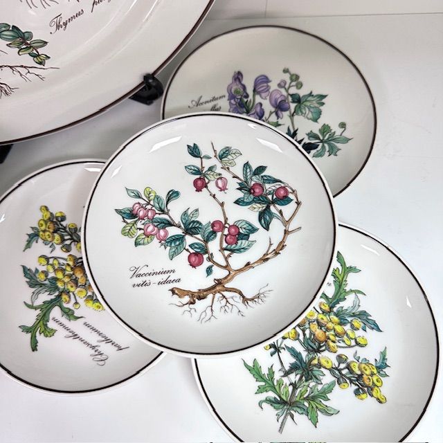 Тарелка блюдце Botanica ВиллеройБох 12 см