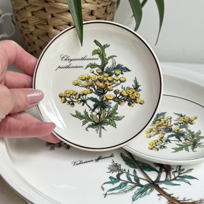 Тарелка блюдце Botanica ВиллеройБох 12 см