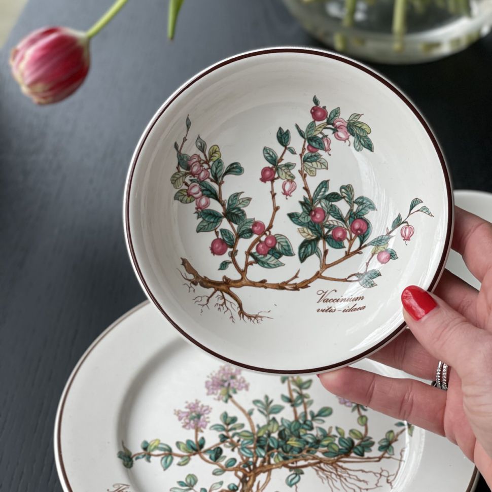 Розетка Botanica ВиллеройБох 14 см 1990-е гг.