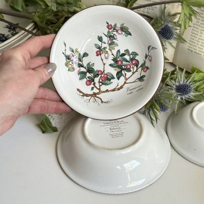 Розетка Botanica ВиллеройБох 14 см 1990-е гг.