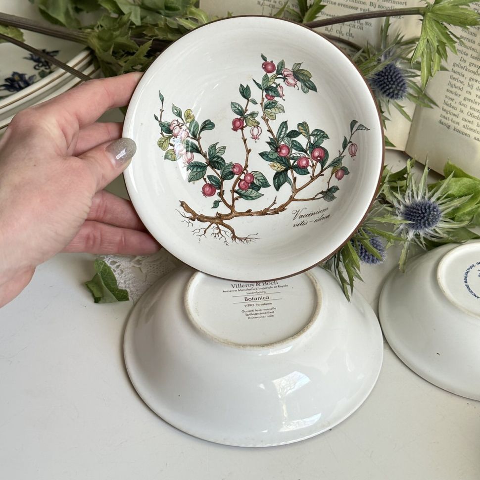 Розетка Botanica ВиллеройБох 14 см 1990-е гг.