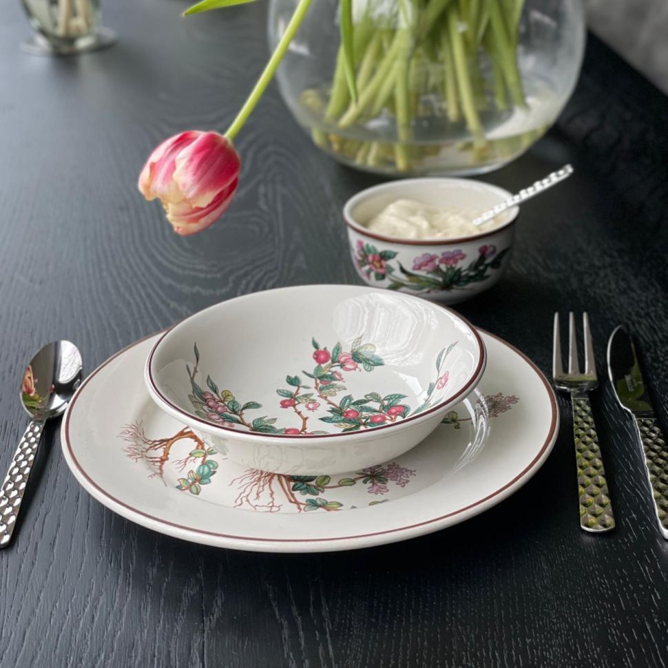 Миска Botanica ВиллеройБох 2-е качество потертости