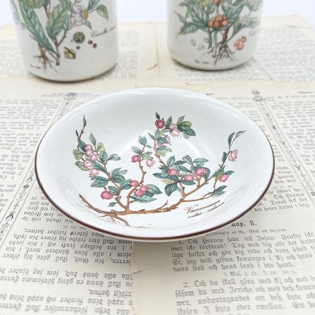 Миска Botanica ВиллеройБох 2-е качество потертости