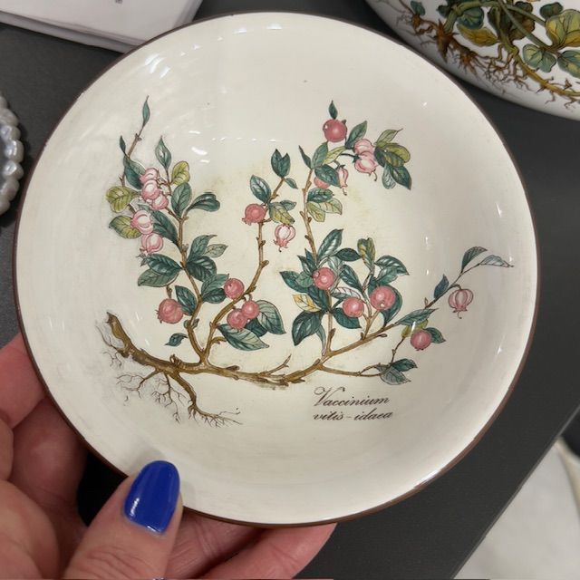 Миска Botanica ВиллеройБох 2-е качество потертости