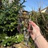 Бра настенное на 2 свечи 26 см латунь хрусталь