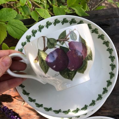 Чайная пара Слива фарфор Англия