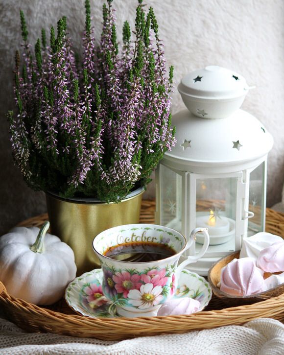 Чайная пара Royal Albert Октябрь 1970 г. 12 месяцев