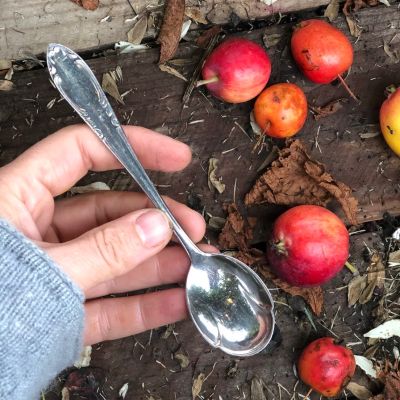 Ложка чайная Тюльпан 14 см мельхиор