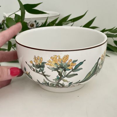 Миска салатник Anthyllis vulneraria Botanica ВиллеройБох 14 см