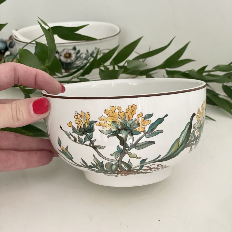 Миска салатник Anthyllis vulneraria Botanica ВиллеройБох 14 см