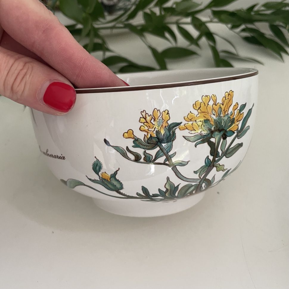 Миска салатник Anthyllis vulneraria Botanica ВиллеройБох 14 см