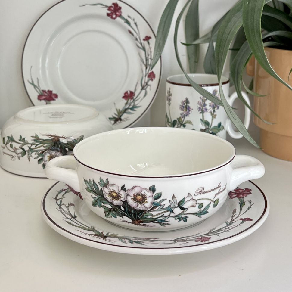 Бульонная пара Botanica 450 мл ВиллеройБох