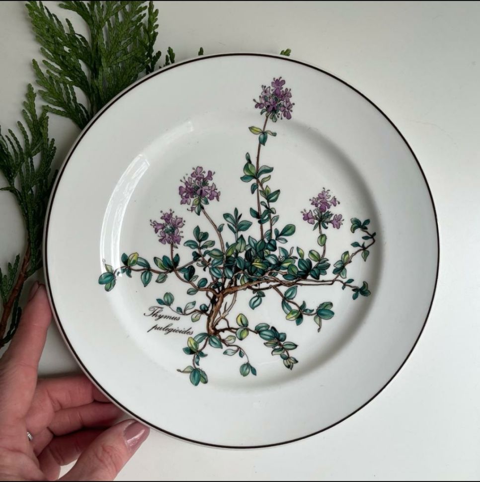 Тарелка для завтрака Botanica 21 см 2000-е ВиллеройБох без корешка 2 категория