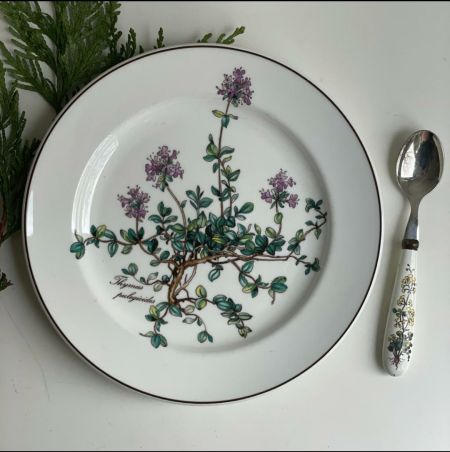 Тарелка для завтрака Botanica 21 см 2000-е ВиллеройБох без корешка 2 категория