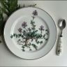 Тарелка для завтрака Botanica 21 см 2000-е ВиллеройБох без корешка 2 категория