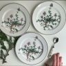 Тарелка для завтрака Botanica 21 см 2000-е ВиллеройБох без корешка 2 категория