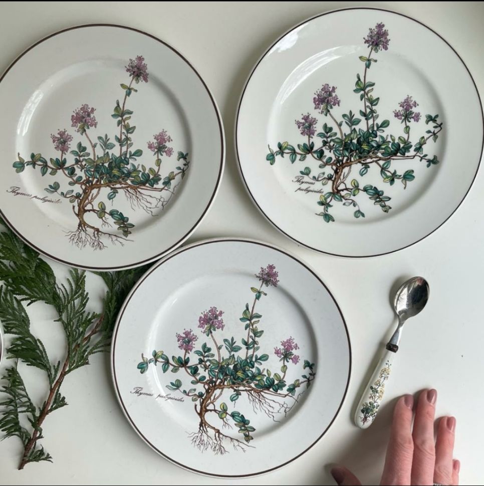 Тарелка для завтрака Botanica 21 см 2000-е ВиллеройБох без корешка 2 категория