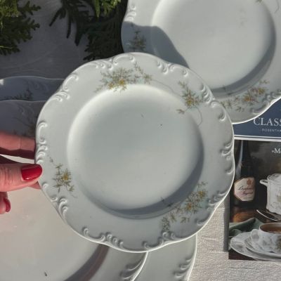 Тарелка десертная Rosenthal Monbijou Полевые цветы 16 см Германия