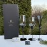 Бокал для шампанского Rosenthal Versace Medusa Lumiere Haze 200 мл Германия